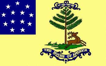 Bucks of America